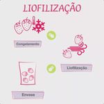comida-liofilizada-arroz-doce-sublimar-img-2