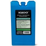 bloco-gelo-tamanho-medio-igloo-img-1