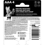 pilha-alcalina-aaa-palito-4pcs-duracell-img2.jpg